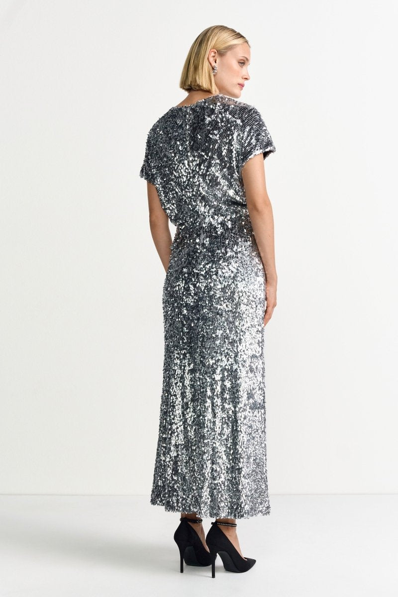 Silbernes Paillettenkleid-Rich & Royal